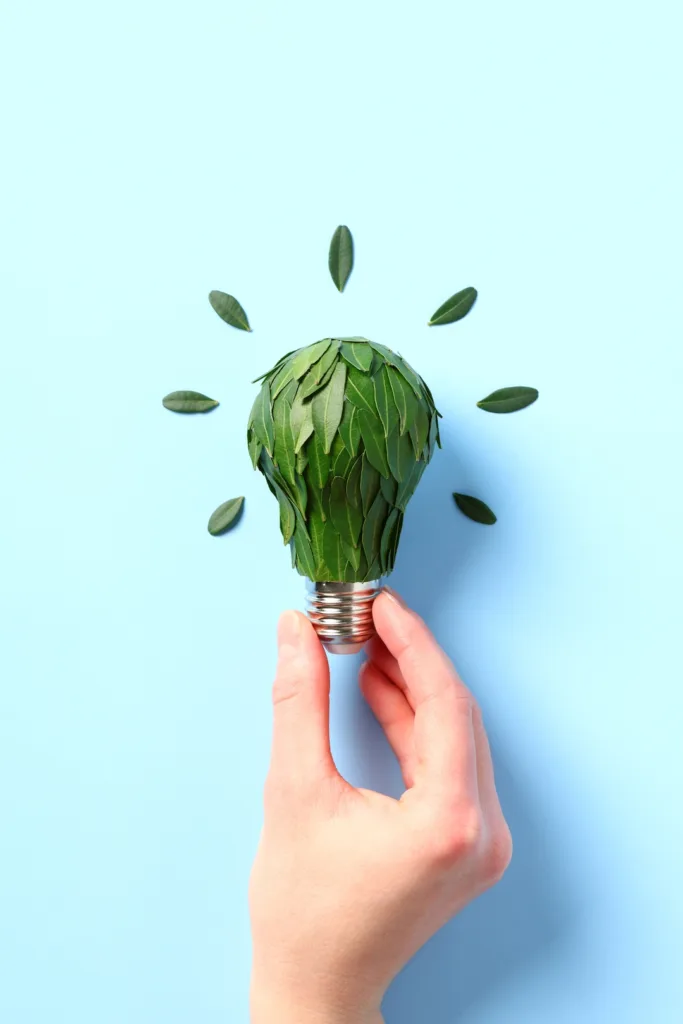 Eco-friendly lightbulb with green leaves in female hand.